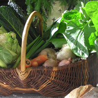 Vegetable basket filled with a variety of vegetables