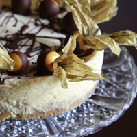 Chocolate dipped physalis cheesecake