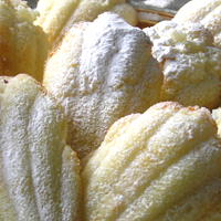 Madeleine cakes
