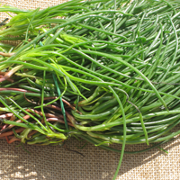 Picture of fresh monks beard