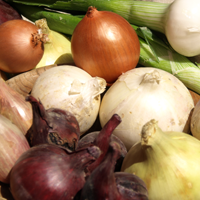 Onions