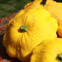 Patty Pan Squash